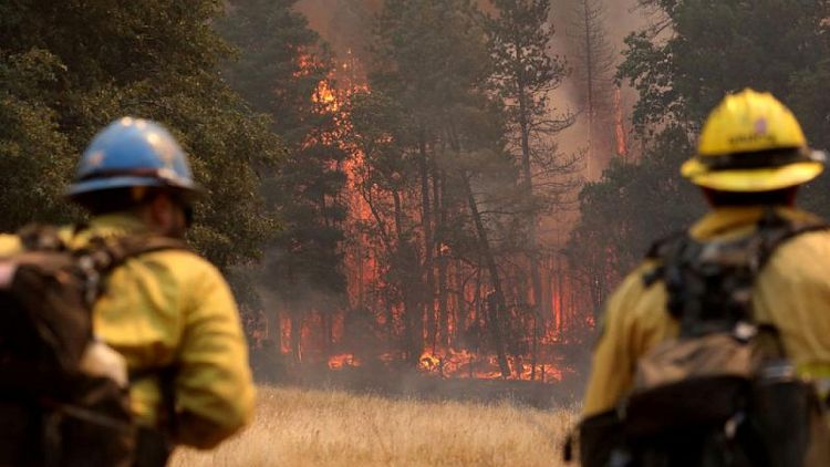 El incendio de Oak en California se extiende sin control hacia Yosemite