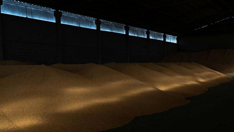 Monitor de cultivos de la UE reduce previsiones de rendimiento de trigo blando y maíz para 2022