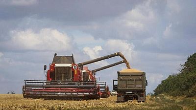 Exportaciones ucranianas de grano podrían alcanzar 3,5 millones de toneladas al mes gracias a acuerdo