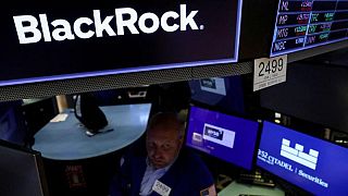 BlackRock informa de una caída de su respaldo a resoluciones ambientales y sociales