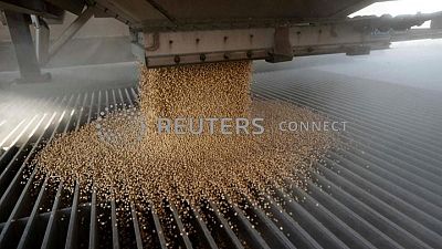 Importaciones de soja UE en 2022/23 al 18 de septiembre caen a 2,50 millones de toneladas