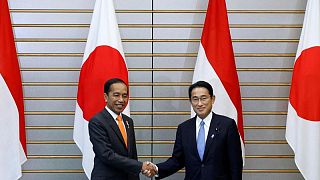  رئيس الوزراء الياباني فوميو كيشيدا مع الرئيس الإندونيسي جوكو ويدودو.
