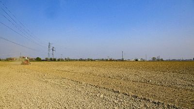 "Le coltivazioni restano a rischio, a partire dal riso" "Le coltivazioni restano a rischio, a partire dal riso"