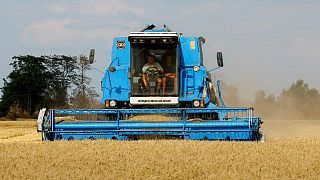 Farmers harvest wheat in southern Ukraine as smoke rises nearby
