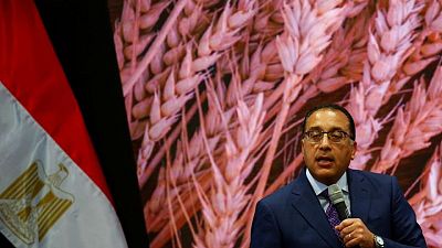 EGYPT-PM-NS5:مصر تعتزم إعلان خطة تفصيلية لطرح حصص في شركات حكومية
