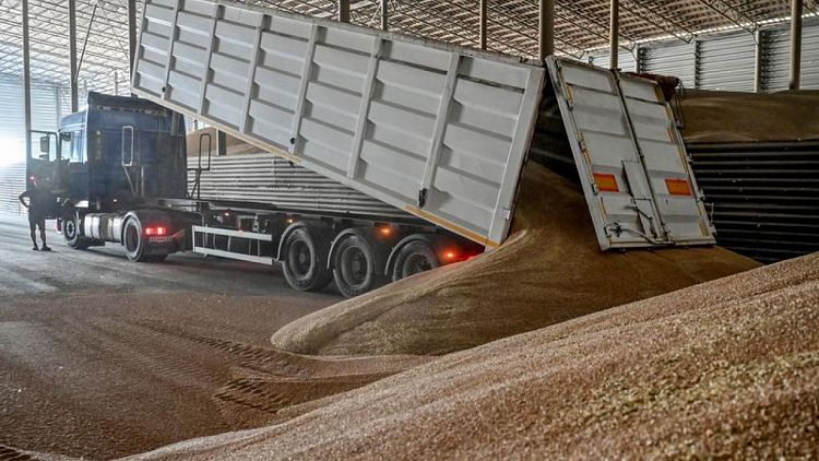 Ucrania ha exportado 1 millón de toneladas de alimentos en virtud de acuerdo de cereales: Zelenski