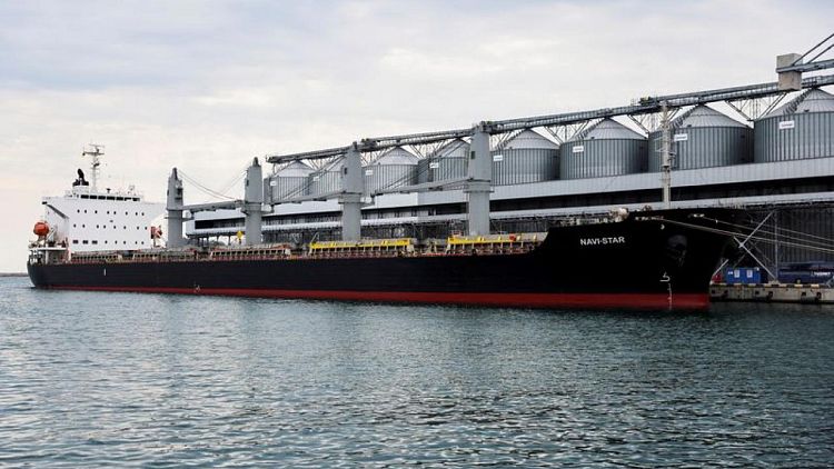 وزير: أول سفينة حبوب أوكرانية ترسو قبالة إسطنبول الثلاثاء