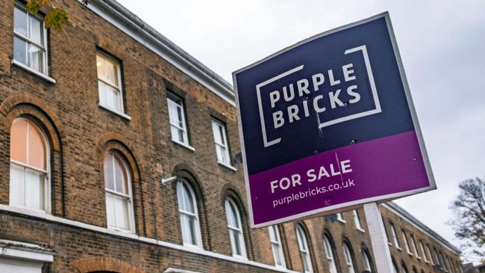 Purplebricks slumps to annual loss, shares tumble Euronews
