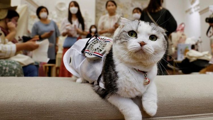 Hot dogs - and cats - get wearable fans to beat Japan's scorching summer