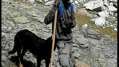 E' un cucciolo di border collie che lo aiutava in alpeggio E' un cucciolo di border collie che lo aiutava in alpeggio