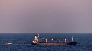 أول سفينة تحمل حبوبا أوكرانية ترسو قبالة الساحل التركي
