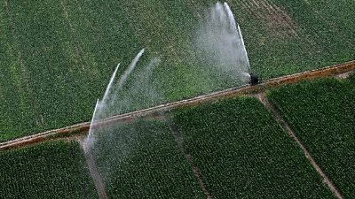 L'arto stritolato da motopompa in azione per irrigare i campi