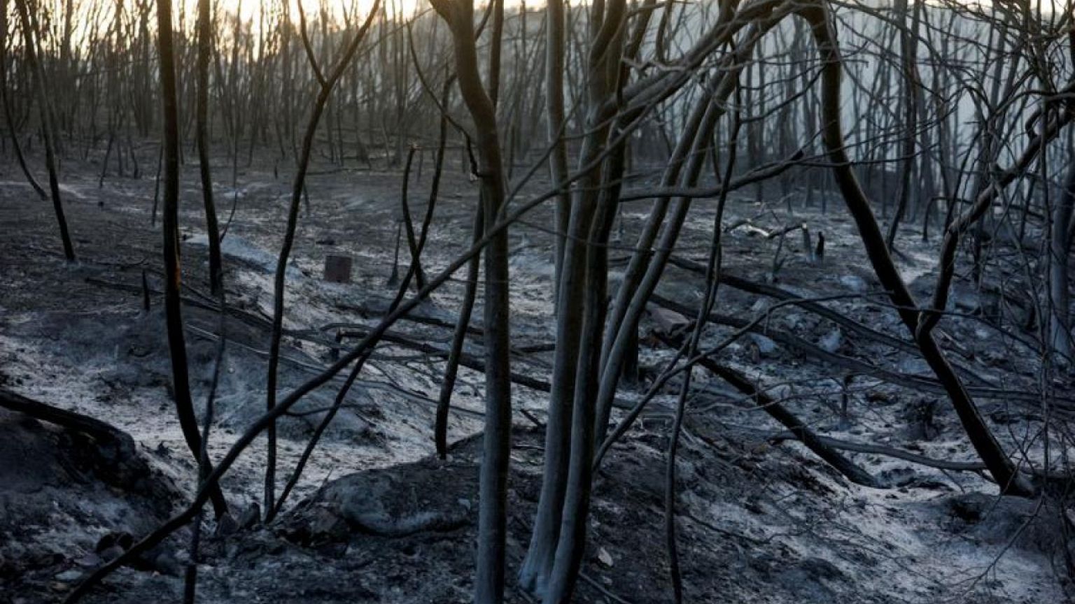 Los incendios en Europa queman la segunda mayor superficie registrada