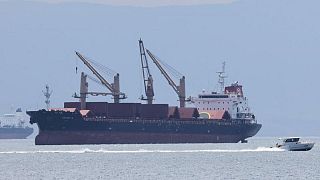 Ucrania espera arribo de primer barco para carga de granos: funcionario