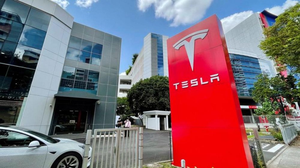 Tesla shareholders broadly follow board at annual