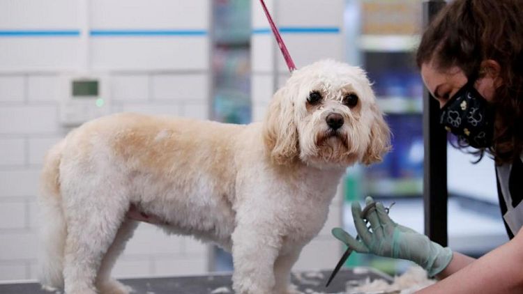 PETS-AT-HOME-GRP-OUTLOOK:UK's Pets At Home lifts profit view as dog owners splurge on toys