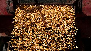Los precios de los alimentos volvieron a bajar en julio - agencia de la ONU Los precios de los alimentos volvieron a bajar en julio - agencia de la ONU