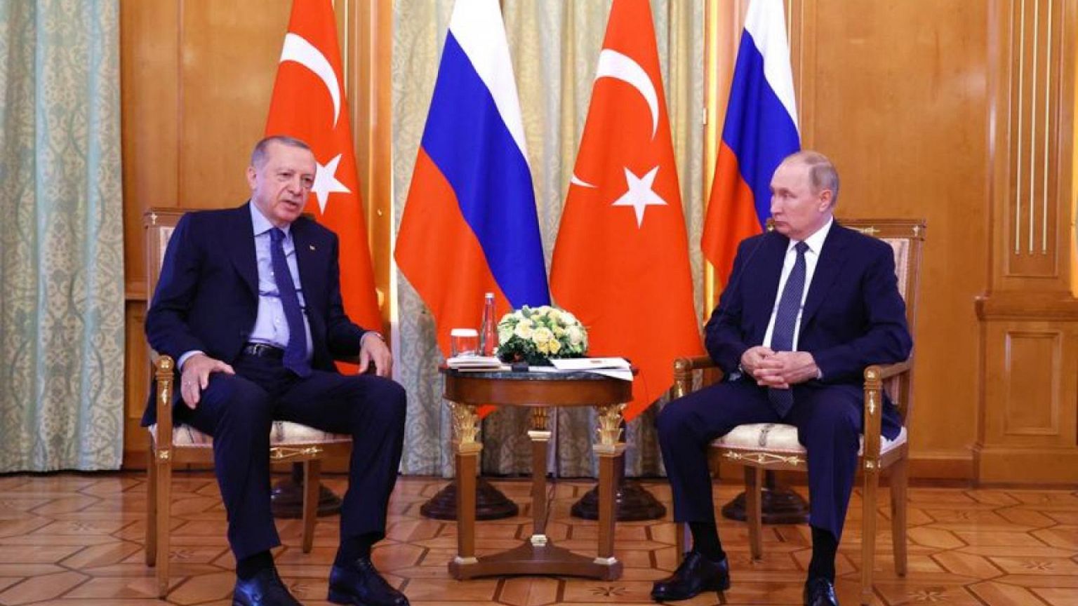 Turkey can be facilitator on Ukraine nuclear plant, Erdogan tells Putin