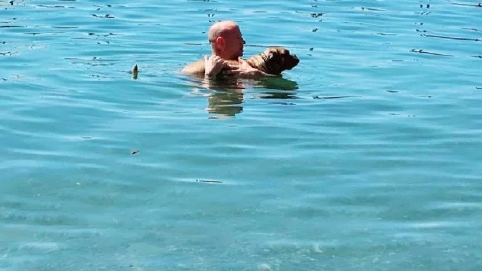 Dalla Sardegna al Piemonte curata e addestrata per ricerche