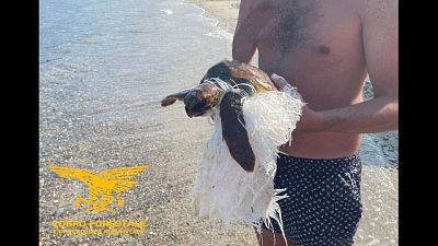 Tertenia, trovata da turista milanese che ha chiamato soccorsi Tertenia, trovata da turista milanese che ha chiamato soccorsi