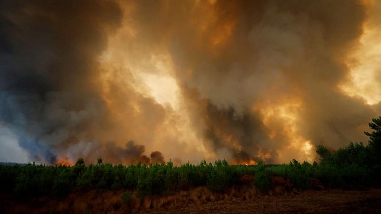 فرنسا تكافح حريق غابات ضخما مع اجتياح موجات الحر أوروبا