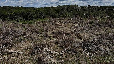 La deforestación en la Amazonia brasileña hasta julio alcanza un nuevo récord