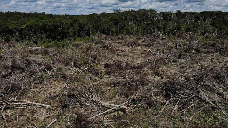 La deforestación en la Amazonia brasileña hasta julio alcanza un nuevo récord