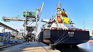 Otros dos barcos con grano parten de Ucrania: Ministerio de Defensa turco