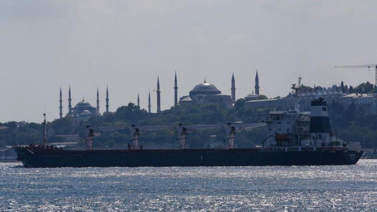 Ship carrying first Ukraine grain cargo nears Syria, shipping sources say