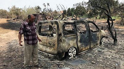 ارتفاع عدد ضحايا حرائق الغابات في الجزائر إلى37 قتيلا و183 مصابا