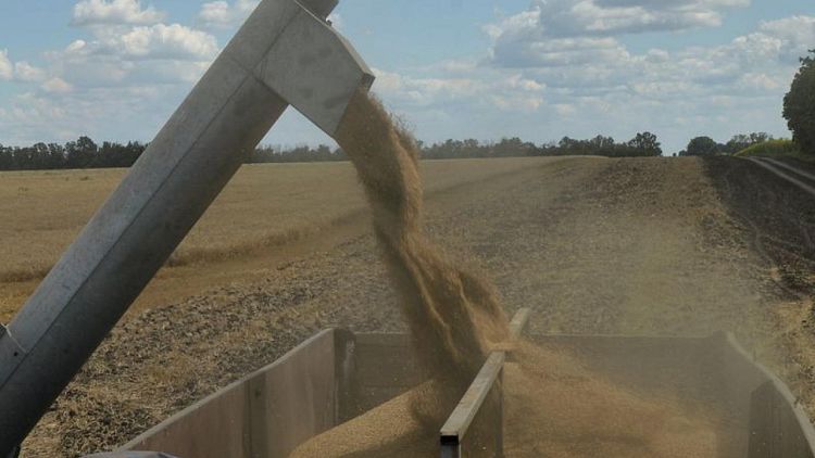 Cosecha de trigo Ucrania en 2022 se ha completado en 91%, con 17,4 millones de toneladas: sindicato