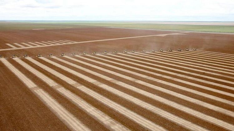 Abiove eleva las estimaciones de producción, molienda y exportación de soja de Brasil para 2022