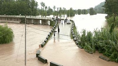 فيضانات وانهيارات أرضية تقتل عشرات في شمال وشرق الهند