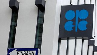 La OPEP+ ve un mayor superávit en 2022 y riesgos para el crecimiento de la demanda de petróleo