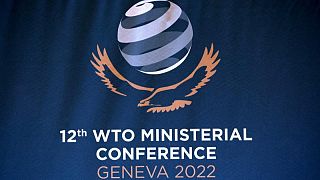 Indicador de comercio de bienes de la OMC se mantiene estable cuando crecimiento se estanca