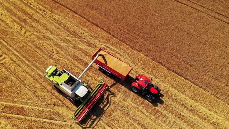 Condiciones de los cultivos de maíz en Francia vuelven a empeorar