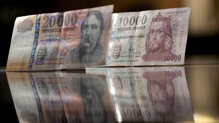 Hungary central bank flags more rate hikes, launches measures to drain interbank liquidity