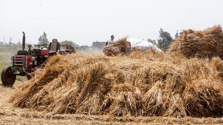 وزير التموين المصري يقول الاحتياطي الاستراتيجي من القمح يكفي 5.1 شهر