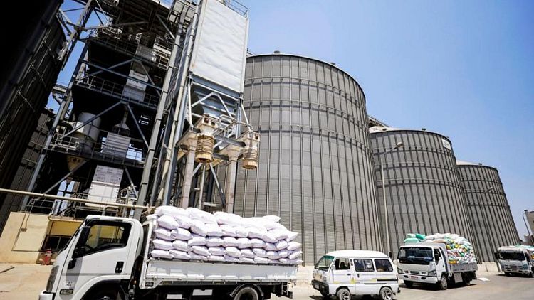 مصر تحدد سعرا استرشاديا لشراء القمح المحلي عند 1000 جنيه للأردب