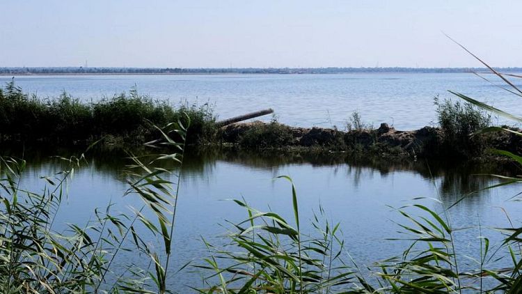 تآكل الثروة السمكية في بحيرة قارون المصرية بسبب التلوث