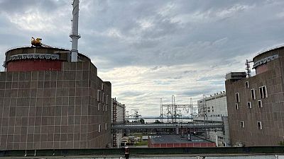 Zaporizhzhia nuclear plant loses power line - IAEA