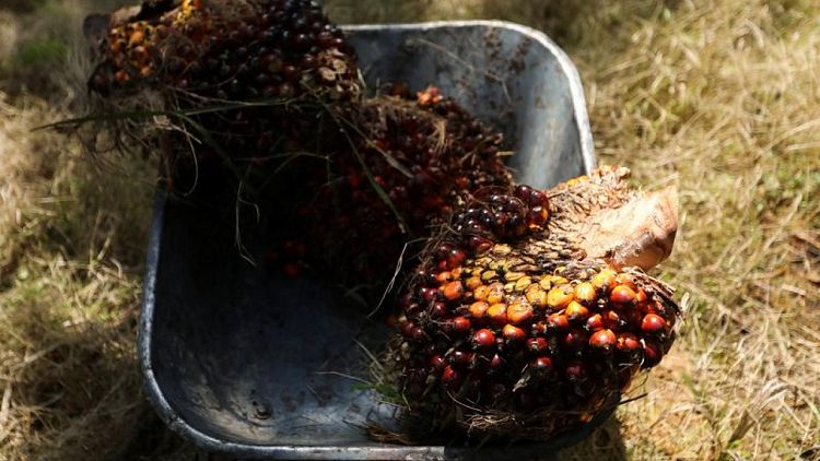 Growing tensions between Asian palm oil producers and the European Union