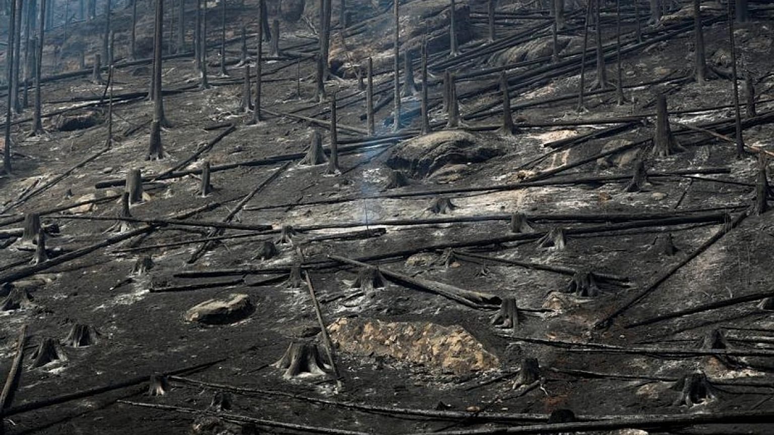 La UE planea acelerar la creación de una flota antiincendios tras un verano devastador
