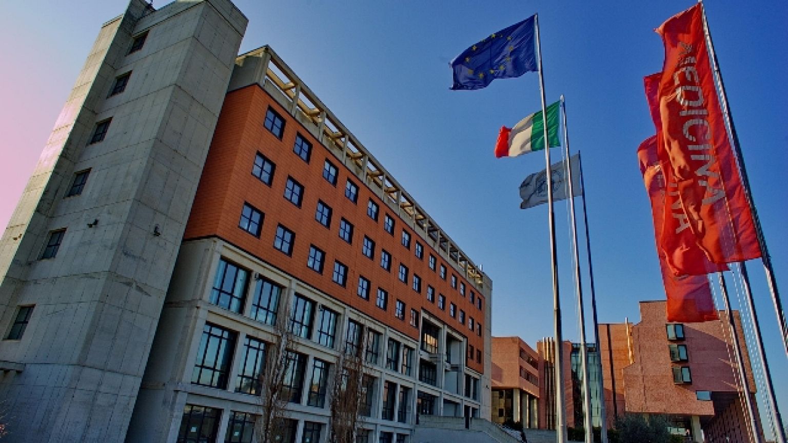 Laurearsi stando a casa, 'manca crescita umana e professionale'