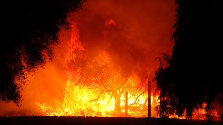وفاة شخصين في حريق غابات في كاليفورنيا