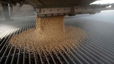 MERCADOS-GRANOS:La soja y el maíz caen en EEUU por ventas técnicas y preocupación por la demanda china