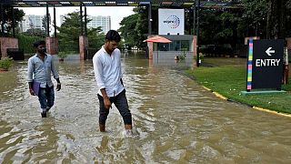 الحياة تعود لطبيعتها في بنجالورو الهندية بعد انحسار مياه الفيضانات