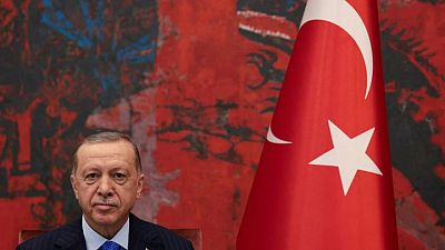 Erdogan dice que solicitará a Rusia el envío de mercancías a través del corredor del mar Negro -medio