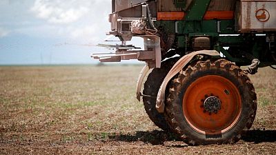 Safras eleva previsión de cosecha de soja brasileña a un récord de 154,5 millones de toneladas