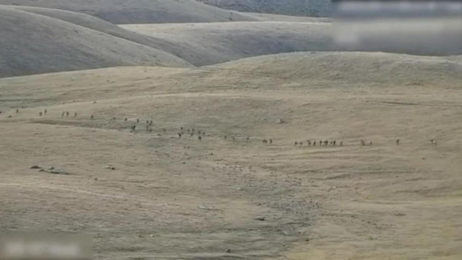 71 Azeri soldiers killed in clashes with Armenia this week -Azeri Defence Ministry